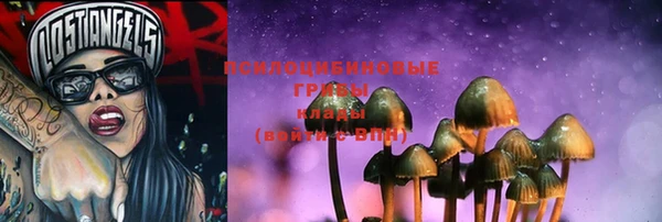 прущие крисы Мегион