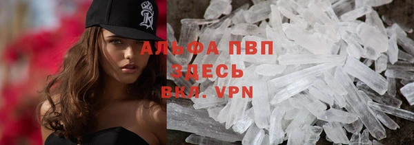 прущие грибы Уссурийск