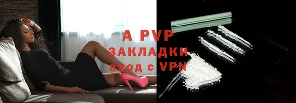 прущие грибы Уссурийск