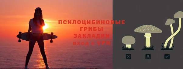 герыч Медногорск