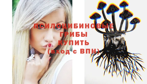 ECSTASY Новочеркасск