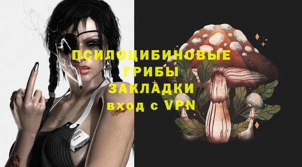 прущие грибы Уссурийск