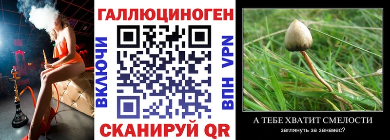 Псилоцибиновые грибы прущие грибы  Шацк 